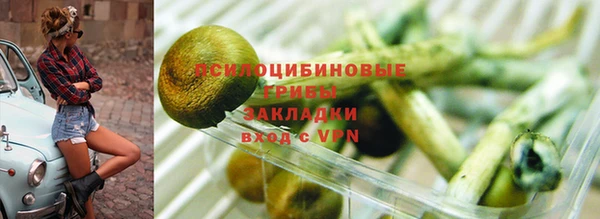 СК Калач