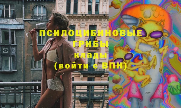 мет Новодвинск