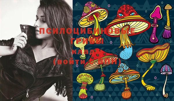 PSILOCYBIN Ишимбай
