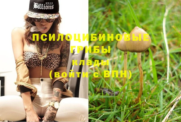 PSILOCYBIN Ишимбай